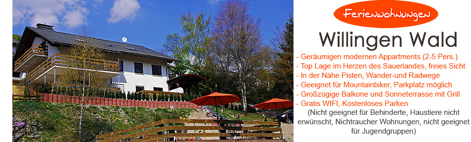Ferienwohnungen Willingen Wald Header